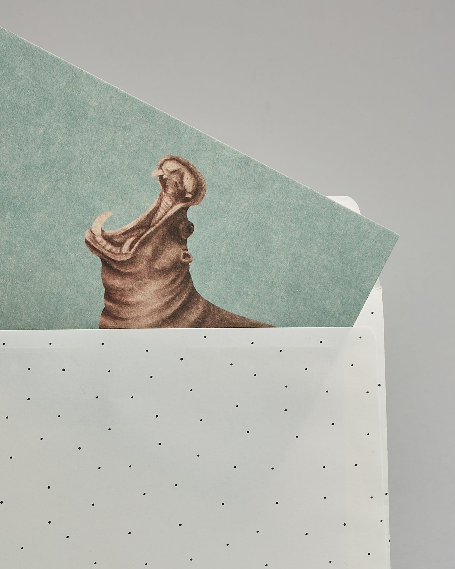 Die Rückseite des weißen Kuverts mit schwarzen Punkten in das schräg eine Postkarte steckt die großteils noch sichtbar ist. Auf der Postkarte ist gemaltes Nilpferd auf auf hellblauem Hintergrund. Das Kuvert eignet sich perfekt für die Postkarten dieser Serie.