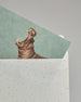 Die Rückseite des weißen Kuverts mit schwarzen Punkten in das schräg eine Postkarte steckt die großteils noch sichtbar ist. Auf der Postkarte ist gemaltes Nilpferd auf auf hellblauem Hintergrund. Das Kuvert eignet sich perfekt für die Postkarten dieser Serie.