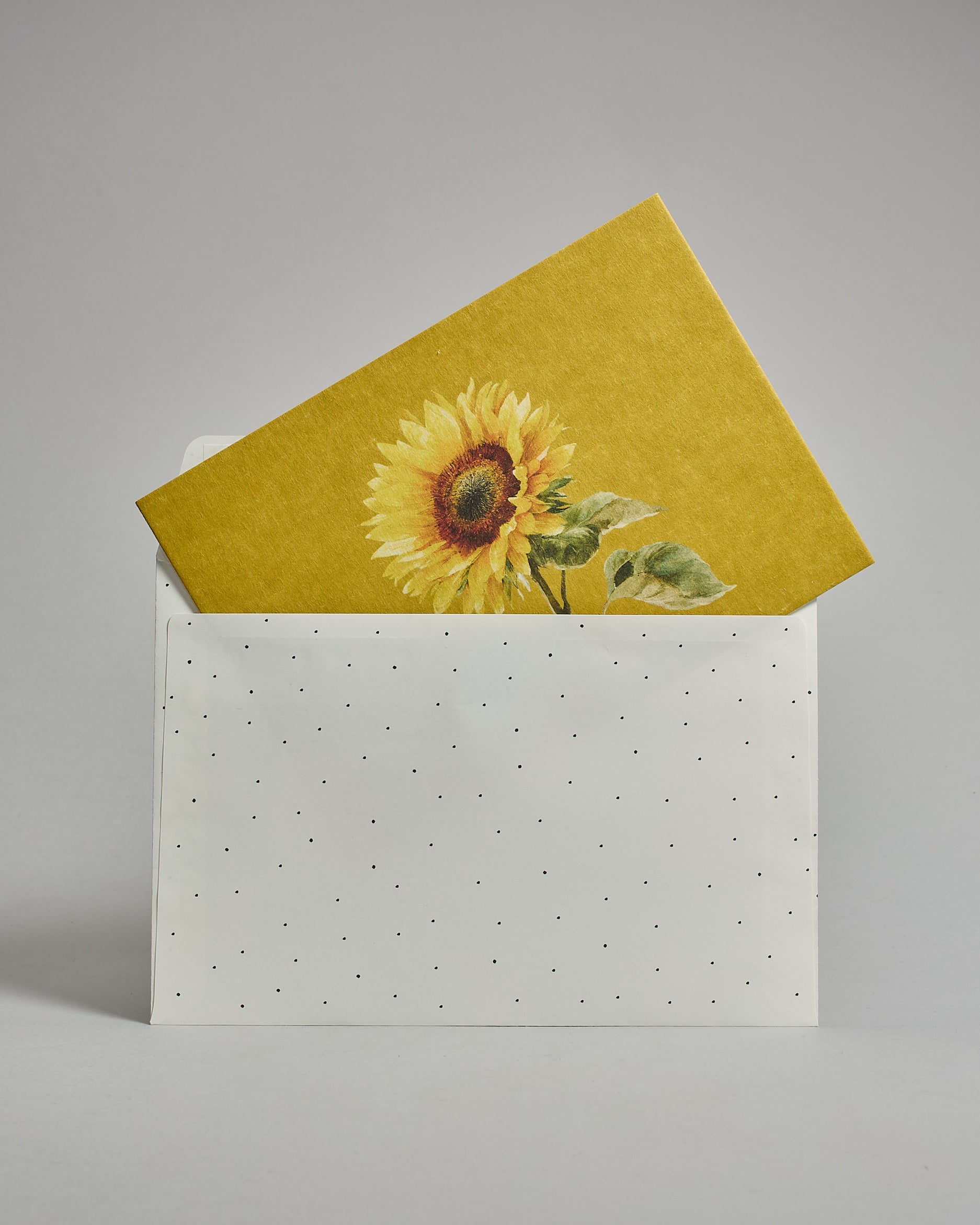 Die Rückseite des weißen Kuverts mit schwarzen Punkten in das schräg eine Postkarte steckt die großteils noch sichtbar ist. Auf der Postkarte ist eine Sonnenblume auf auf gelben Hintergrund. Das Kuvert eignet sich perfekt für die Postkarten dieser Serie.