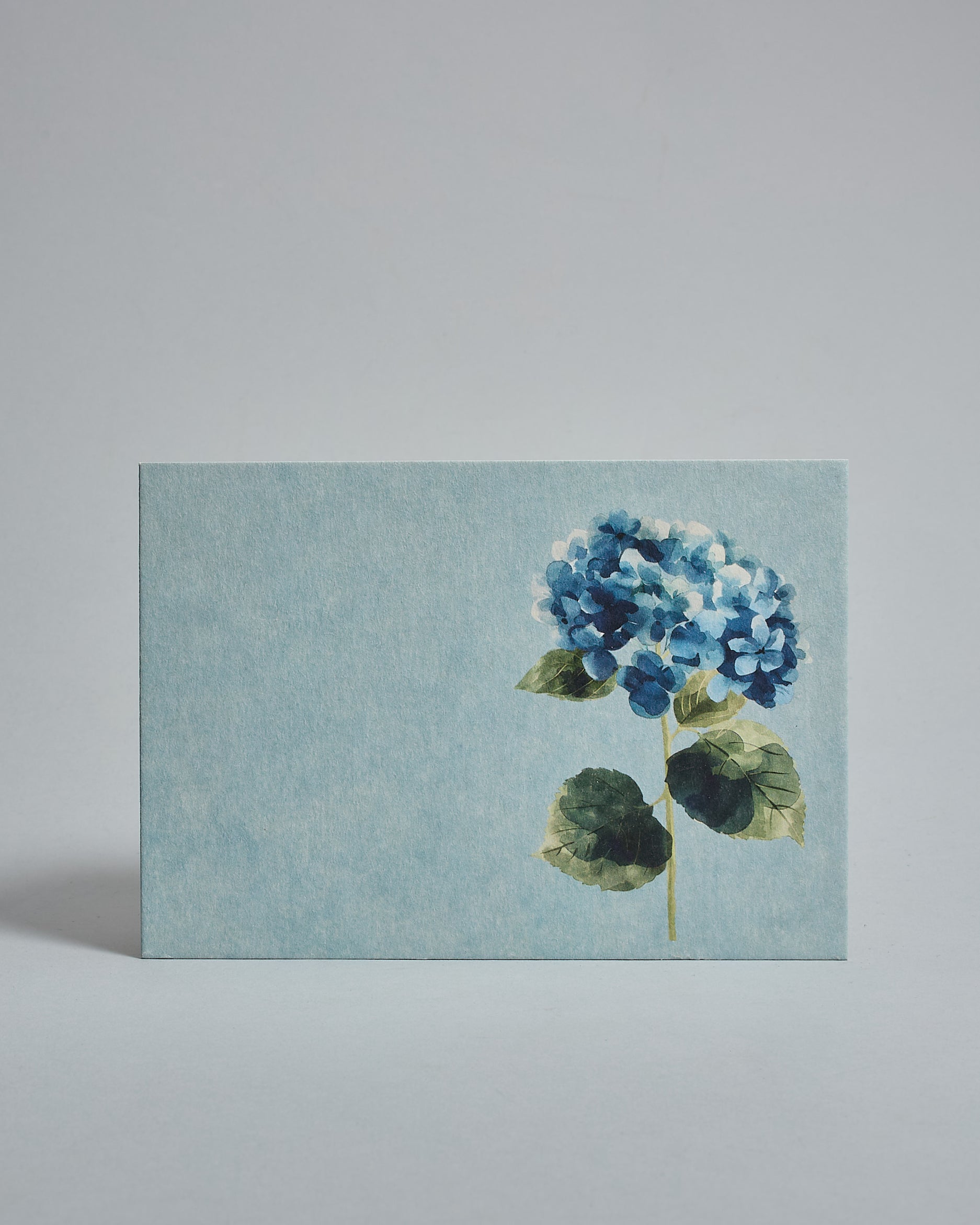 Die Vorderseite der Postkarte im Querformat vor hellgrauem Hintergrund. Die Postkarte zeigt eine gemalte Hortensie auf hellblauem Hintergrund, gedruckt auf Holzschliffpappe.
