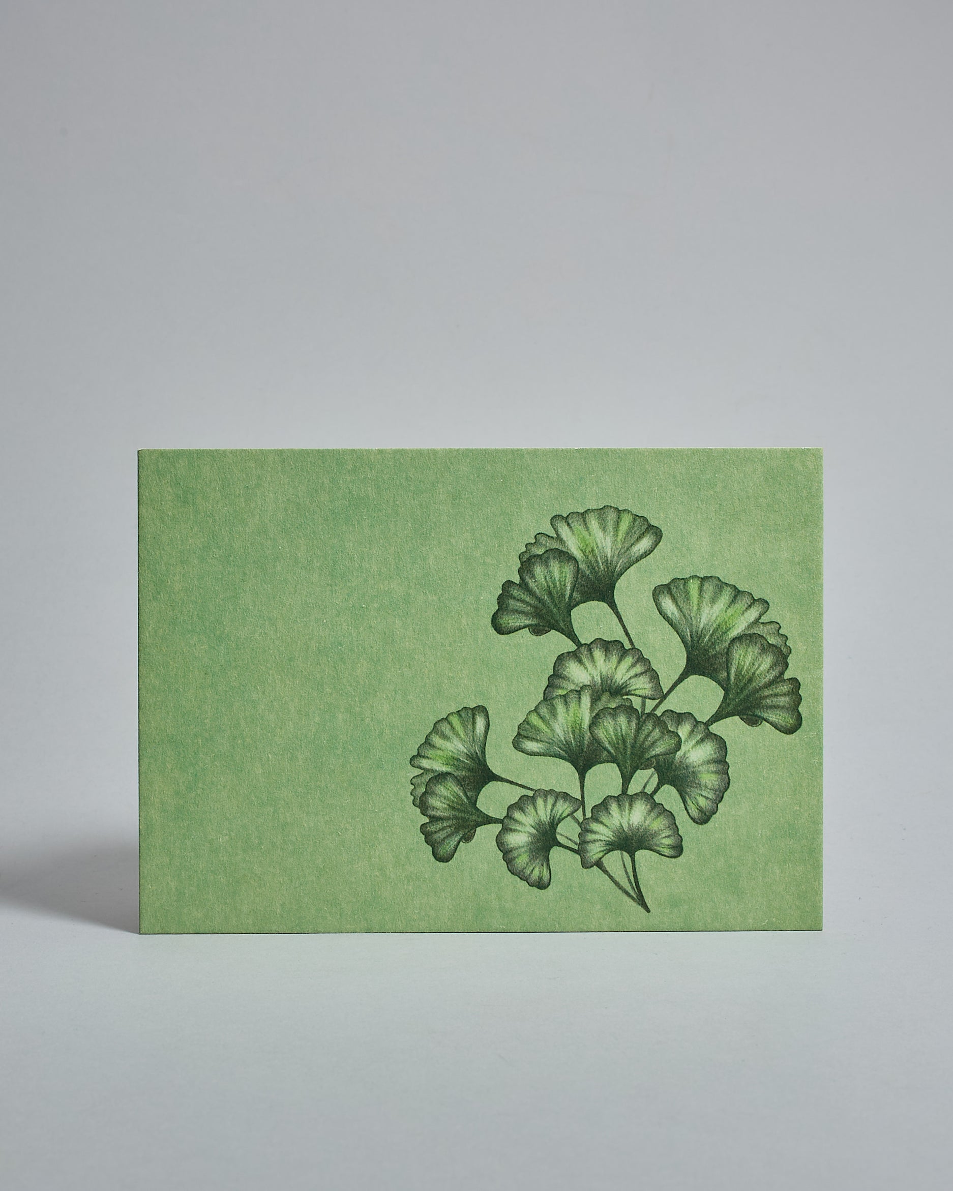 Die Vorderseite der Postkarte im Querformat vor hellgrauem Hintergrund. Die Postkarte zeigt eine gemalten Ginko auf grünem Hintergrund, gedruckt auf Holzschliffpappe.