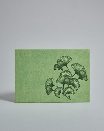 Die Vorderseite der Postkarte im Querformat vor hellgrauem Hintergrund. Die Postkarte zeigt eine gemalten Ginko auf grünem Hintergrund, gedruckt auf Holzschliffpappe.