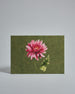 Die Vorderseite der Postkarte im Querformat vor hellgrauem Hintergrund. Die Postkarte zeigt eine gemalte Chrysantheme auf moosgrünem Hintergrund, gedruckt auf Holzschliffpappe.
