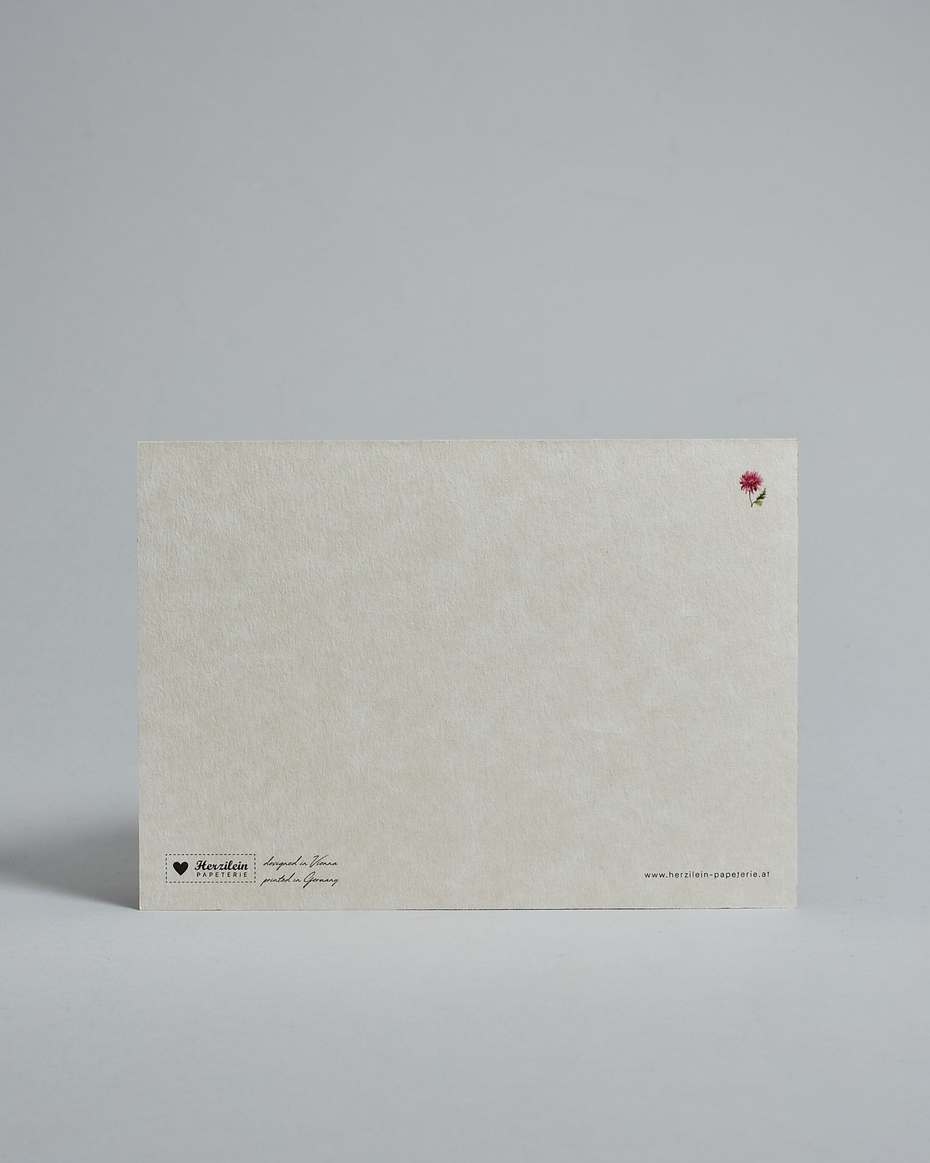 Die Rückseite der Postkarte im Querformat vor hellgrauem Hintergrund. Rechts oben ist in kleiner Ausführung die gleiche Chrysantheme wie auf der Vorderseite zu sehen. 
Unten sind klein das Logo Herzilein-Papeterie, der Text: "designed in VIenna, printed in Germany" und "www.herzilein-papeterie.at" zu sehen. 
Der Großteil ist unbedruckt die Struktur der hochwertigen Holzschliffpappe ist gut zu sehen. Hier ist viel Platz zum Schreiben.
