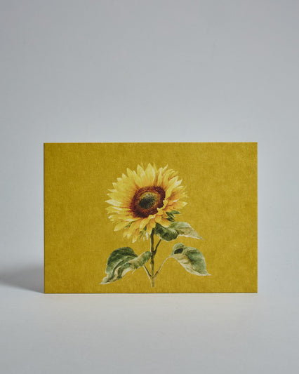 Die Vorderseite der Postkarte im Querformat vor hellgrauem Hintergrund. Die Postkarte zeigt eine gemalte Sonnenblume auf gelbem Hintergrund, gedruckt auf Holzschliffpappe.