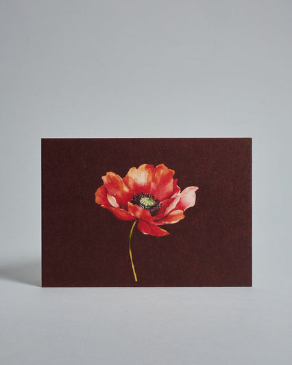 Die Vorderseite der Postkarte im Querformat vor hellgrauem Hintergrund. Die Postkarte zeigt eine gemalte Mohblume auf dunkelrotem Hintergrund, gedruckt auf Holzschliffpappe.