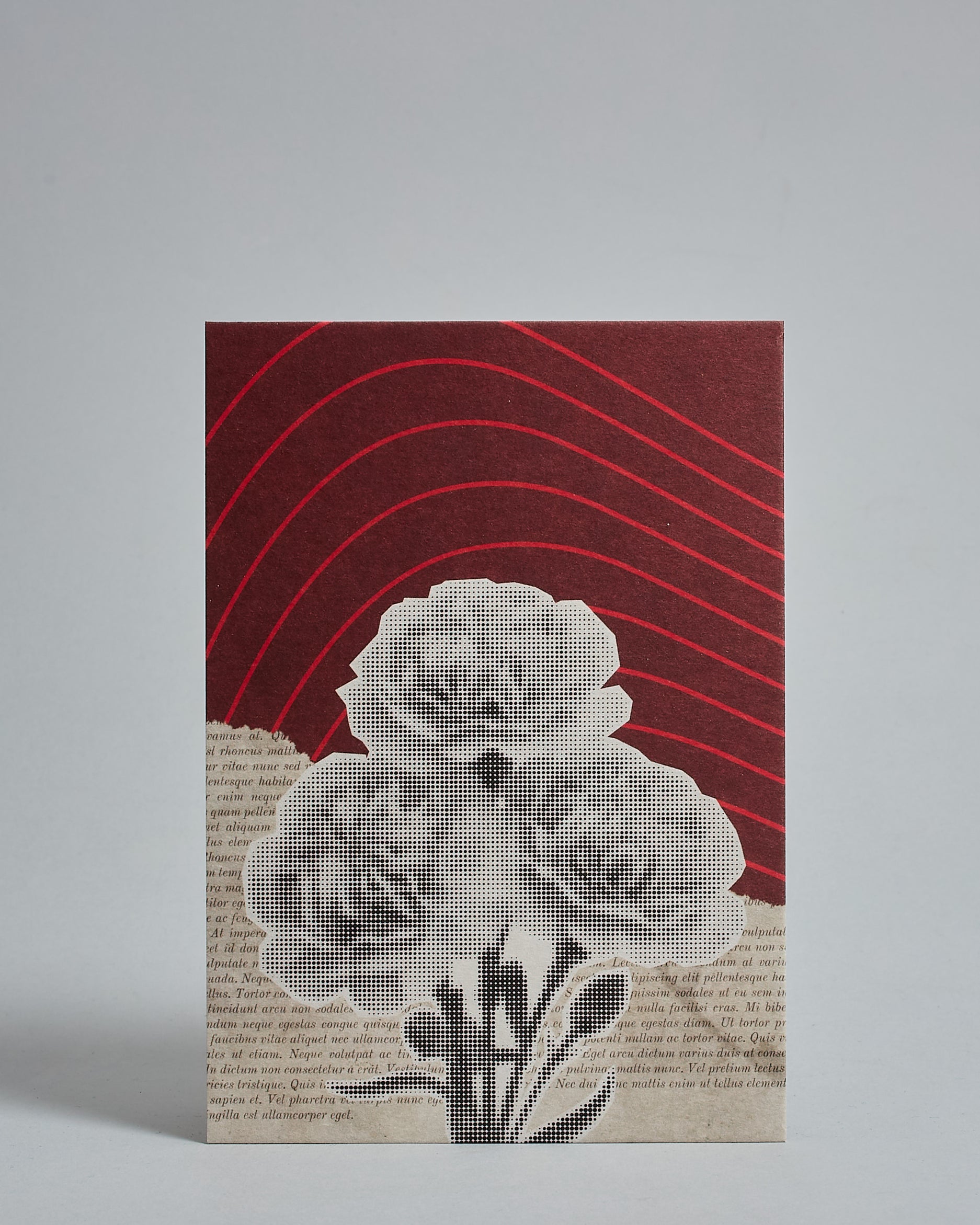 Die Vorderseite der Postkarte im Hochformat vor hellgrauem Hintergrund. Die Postkarte ist im Retro-Stil, gedruckt auf Holzschiffpappe und zeigt eine Blume im Halbtonraster (schwarz auf weiß) auf einem schräg horizontal geteilten Hinergrund. Die ober Häfte des Hintergrundes ist in dunkelrot mit hellroten geschwungenen Linien. Die untere Hälfte sieht aus wie gerissene Seite aus einem alten Buch.