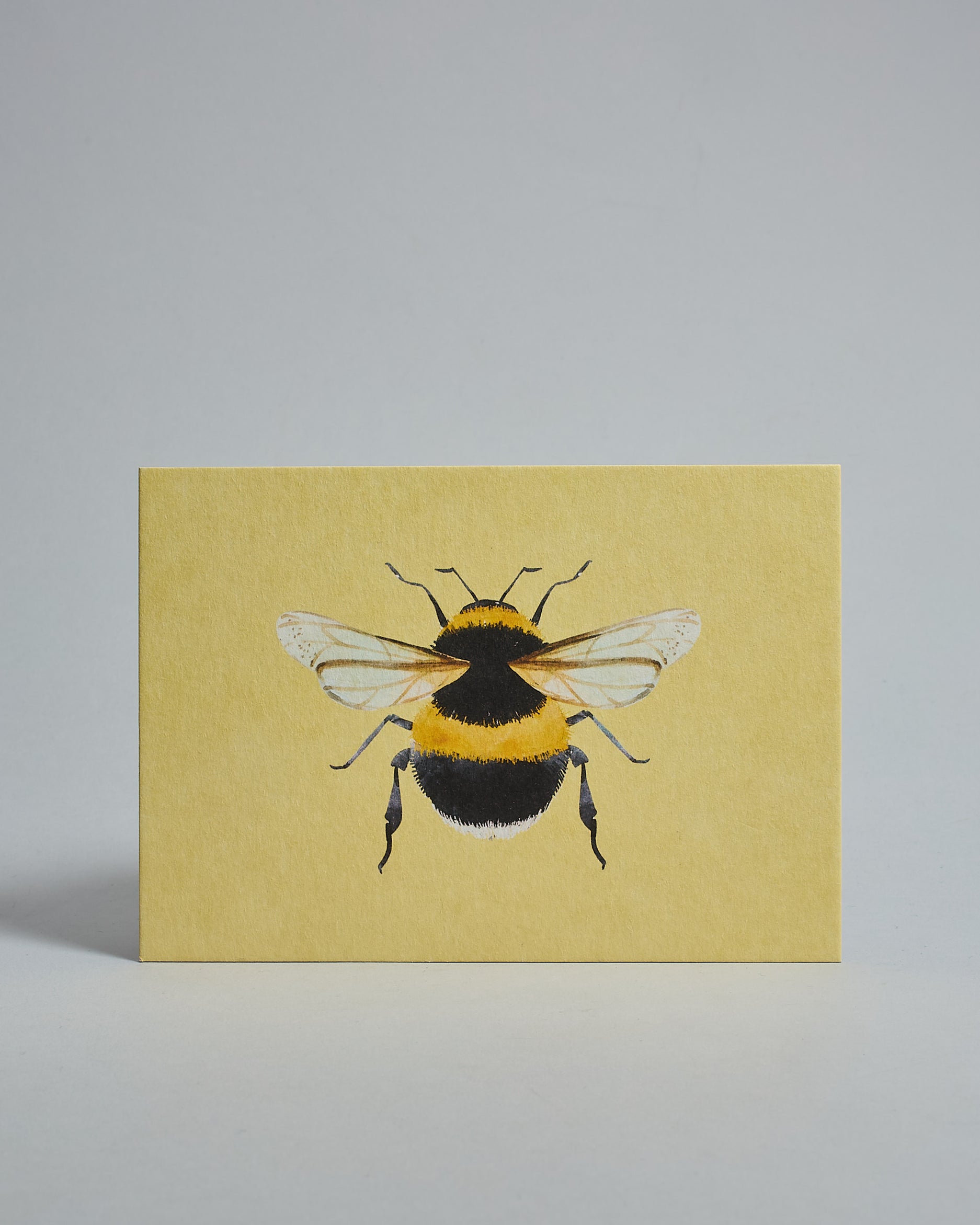 Die Vorderseite der Postkarte im Querformat vor hellgrauem Hintergrund. Die Postkarte zeigt eine gemalte Biene auf hellgelbem Hintergrund, gedruckt auf Holzschliffpappe.
