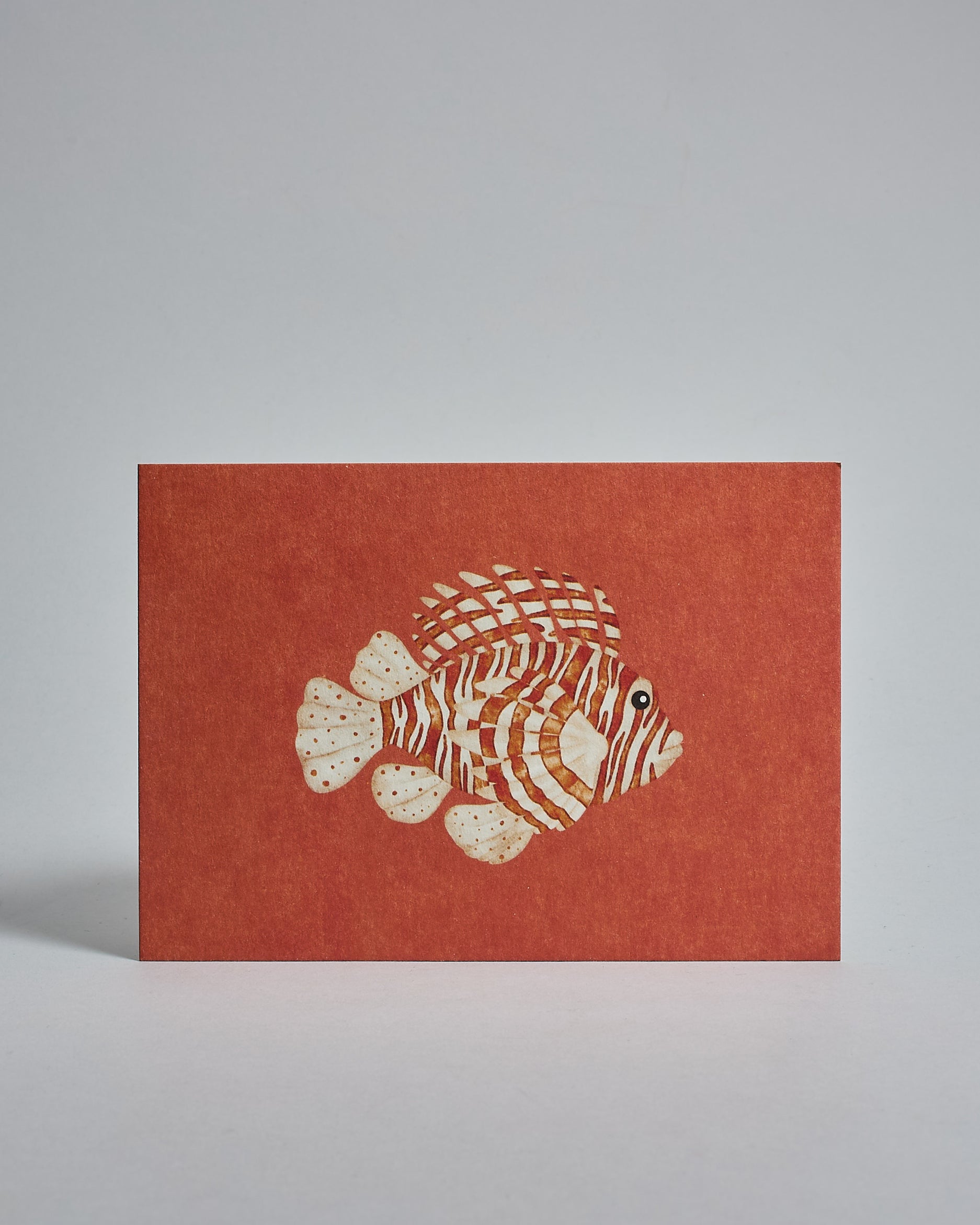 Die Vorderseite der Postkarte im Hochformat vor hellgrauem Hintergrund. Die Postkarte zeigt einen gemalten Feuerfisch auf orange-rotem Hintergrund, gedruckt auf Holzschliffpappe.