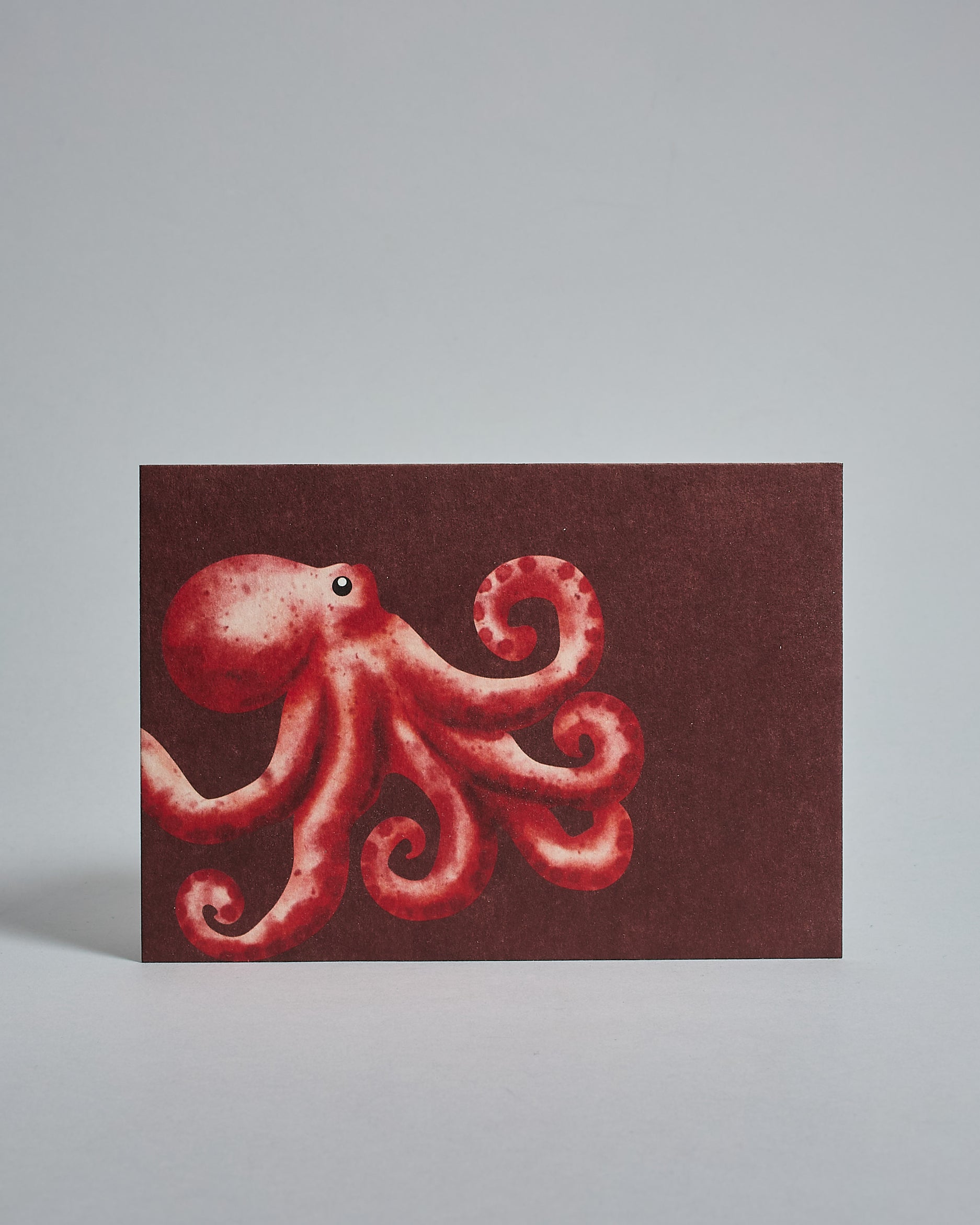 Die Vorderseite der Postkarte im Querformat vor hellgrauem Hintergrund. Die Postkarte zeigt einen gemalten Tintenfisch auf dunkelrotem Hintergrund, gedruckt auf Holzschliffpappe.