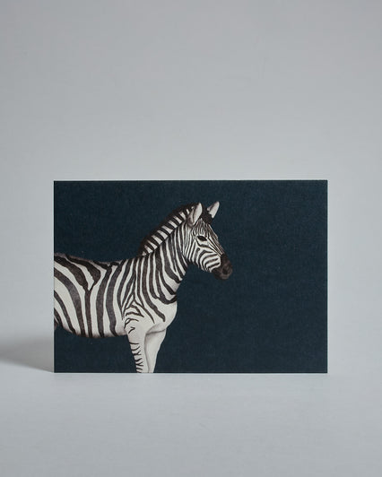 Die Vorderseite der Postkarte im Querformat vor hellgrauem Hintergrund. Die Postkarte zeigt ein gemaltes Zebra auf dunkel-petrol-farbenem Hintergrund, gedruckt auf Holzschliffpappe.