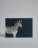 Die Vorderseite der Postkarte im Querformat vor hellgrauem Hintergrund. Die Postkarte zeigt ein gemaltes Zebra auf dunkel-petrol-farbenem Hintergrund, gedruckt auf Holzschliffpappe.