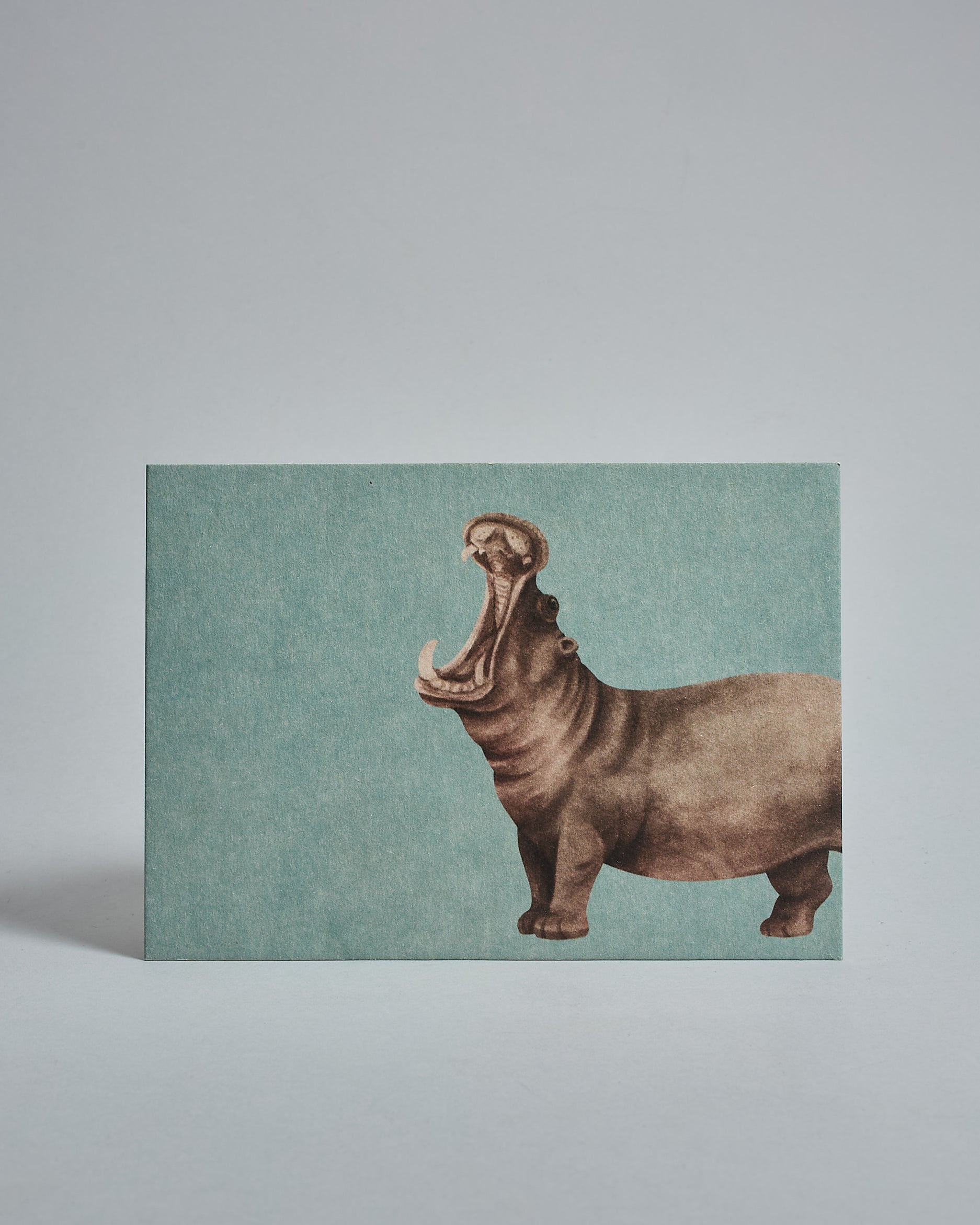 Die Vorderseite der Postkarte im Querformat vor hellgrauem Hintergrund. Die Postkarte zeigt ein gemaltes Nilpferd auf hellblauem Hintergrund, gedruckt auf Holzschliffpappe.