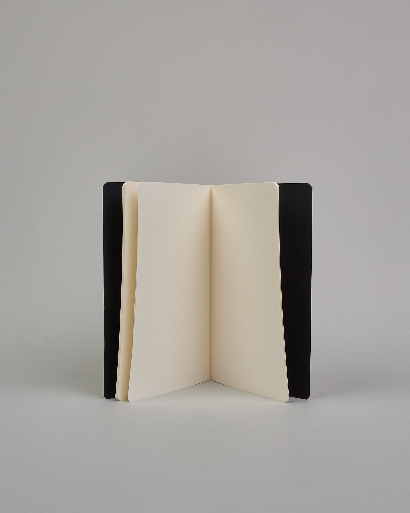 Set bestehend aus drei Heften in dunkelgrün, ockergold und mint. Jedes hat eine andere Prägung oben Mittig in gold. Das dunkelgrüne ein Ginkoblatt, das ockergoldene eine vollfächiges Muster mit Blüten und das mintfarbene eine Pusteblume. Innen sind sie glatt. #6