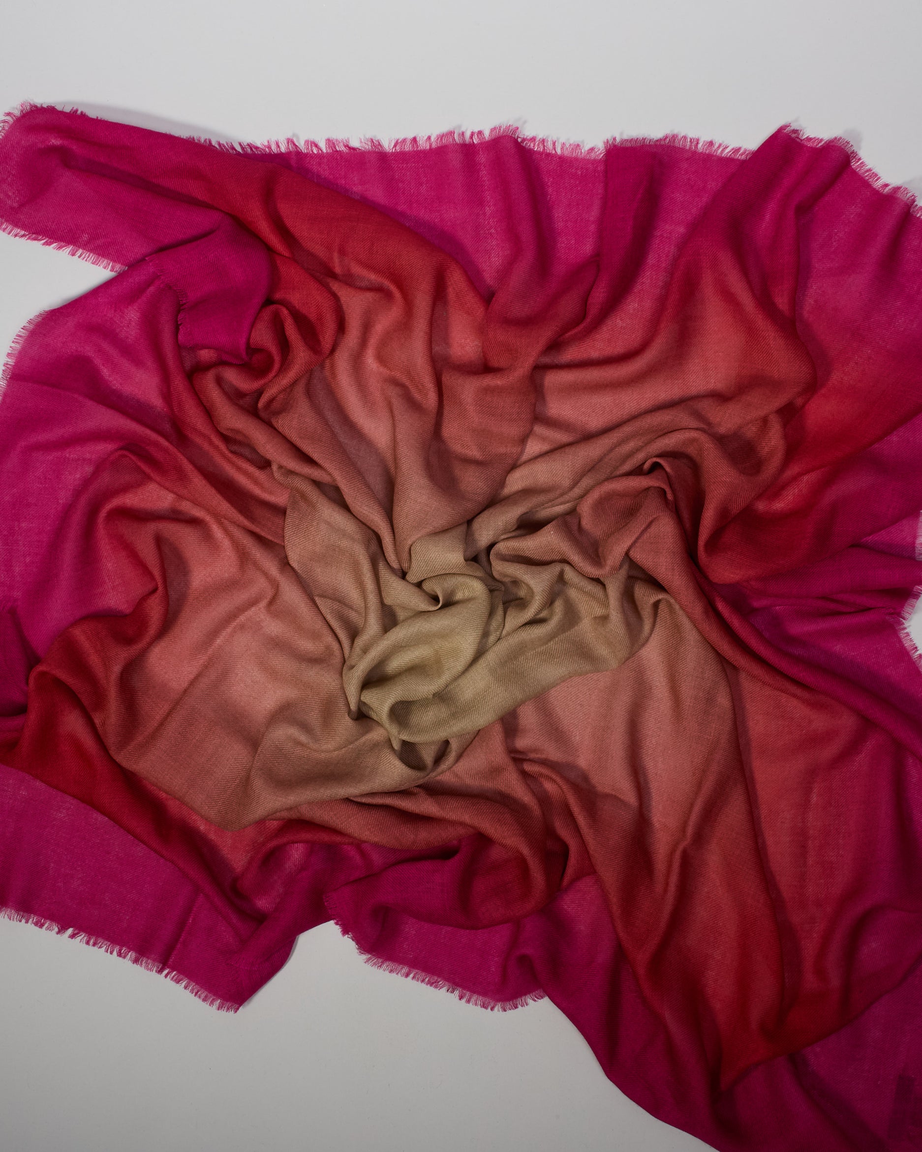 Fokus pink